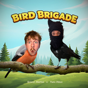 Bird Brigade