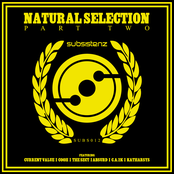 Natural Selection Prt 2