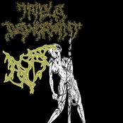 NX5 / Triple Dewormint