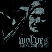 As We Worship Their Shadows by Wolves Carry My Name
