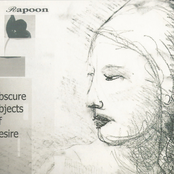 obscure objects of desire