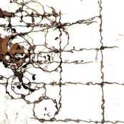 When Intuition Needs Deep Silence