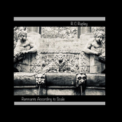 Remnants According to Scale