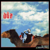 The Race of a Thousand Camels