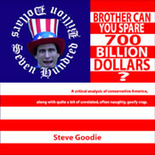 Brother Can You Spare 700 Billion Dollars?