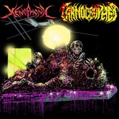 Xenophonic: Galactic Carnage