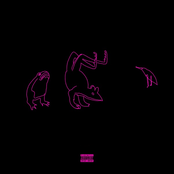 FLOW SUI GRADINI #10 (Buio)