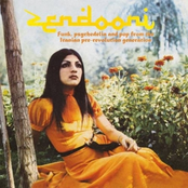 Zendooni: Funk, Psychedelia and Pop from the Iranian Pre-Revolution Generation