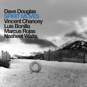 Great Awakening by Dave Douglas