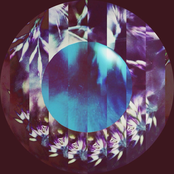 Ambient From Spring and Summer