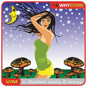 The Why Store: VIM