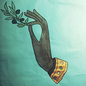 Rachel Andie: The Common Calamity