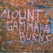 Mount Gammaray Burns