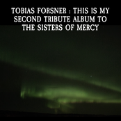 This is my second tribute album to The Sisters of Mercy