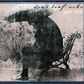 Tears by Dead Leaf Echo