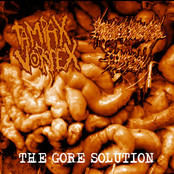 The Gore Solution