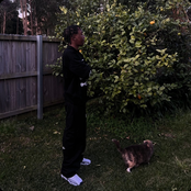 purr - Single