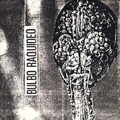 Bulbo Raquideo