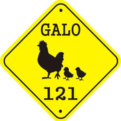 Galo 121