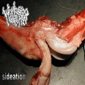 Sideation / Womb Goo Gai Pan