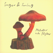 Aningar by Sagor & Swing