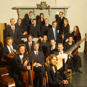 The Netherlands Bach Society, Jos Van Veldhoven