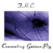 Consenting Guinea Pig by T.h.c.