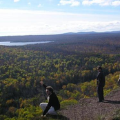 "Whatever Pinnochio"