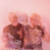 Flowers - Single