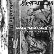Blood In The Decibels