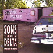 I Asked Her For Water by Sons Of The Delta