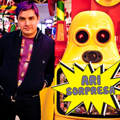 Ari Sorpresa L.P