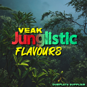Junglistic Flavours