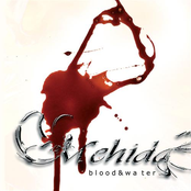 Blood and Water