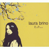 Laura Brino: Elephant