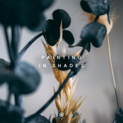 Painting in Shades - Single