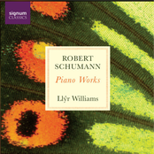 Robert Schumann: Piano Works