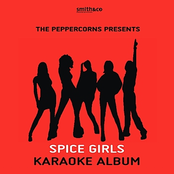 Spice Girls Karaoke Album
