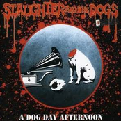 A Dog Day Afternoon