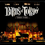 Russian Roulette by Birds Of Tokyo