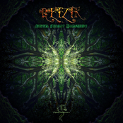 Digital Forest Symphony EP