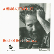 A Mende-Sülysáp blues - Best of Berki Tamás