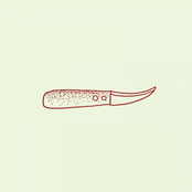 The Carving Knife