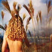 Blue by Sophie B. Hawkins