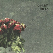 One Minute by Celan