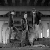 Live in Crystal Records (2012)