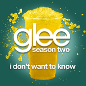 I Don't Want To Know by Glee Cast