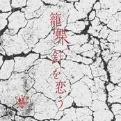 籠蝶、針を恋う