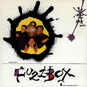Your Loss My Gain by Fuzzbox