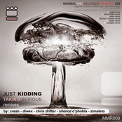 Taking Serious Remixes